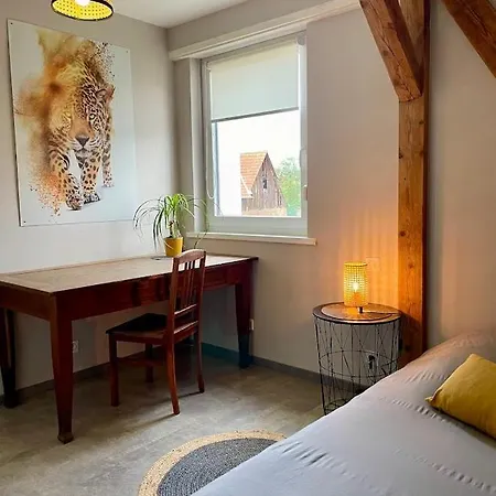 Chez L En Alsace Maison Indépendante 8 Pers Jardin&cour Privative *