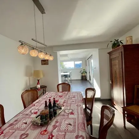 Chez L En Alsace Maison Independante 8 Pers Jardin & Cour Privative Prázdninový dům