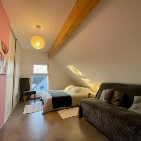 Chez L En Alsace Maison Indépendante 8 Pers Jardin&cour Privative Griesheim-près-Molsheim