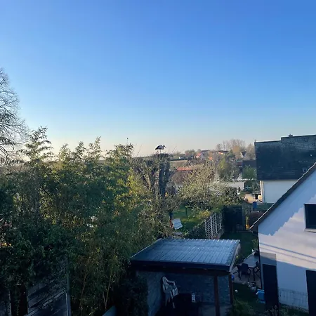 Chez L En Alsace - Maison Avec Jardin Et Piscine Proche D'obernai בית נופש