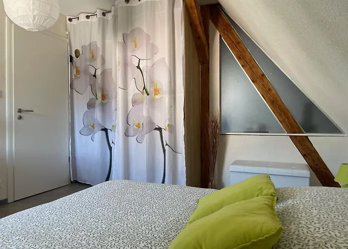 Chez L En Alsace Maison Indépendante 8 Pers Jardin&cour Privative Griesheim-près-Molsheim