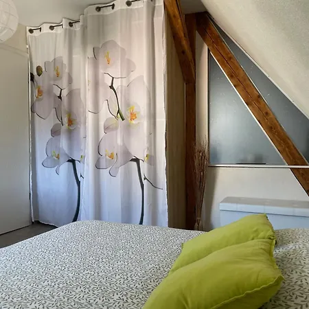 Chez L En Alsace Maison Independante 8 Pers Jardin & Cour Privative Griesheim-pres-Molsheim